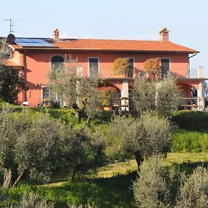 Olivia And Bed & Breakfast